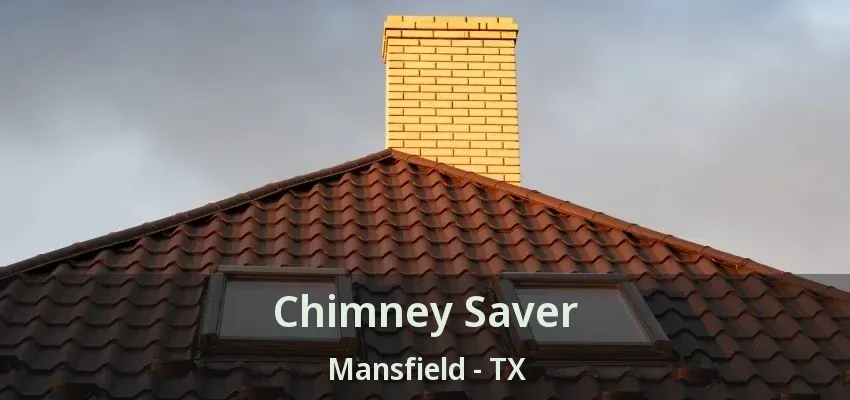 Chimney Saver Mansfield - TX