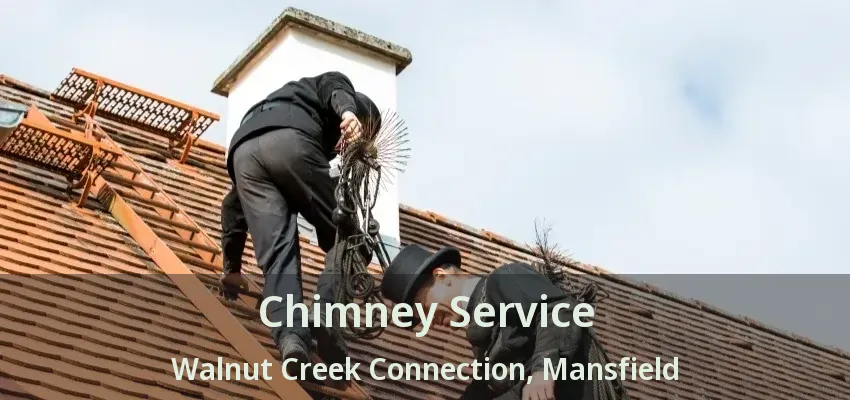 Chimney Service Walnut Creek Connection, Mansfield - TX