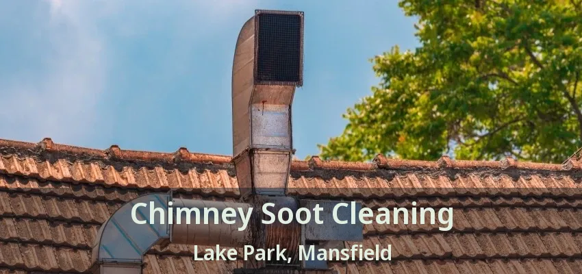 Chimney Soot Cleaning Lake Park, Mansfield - TX