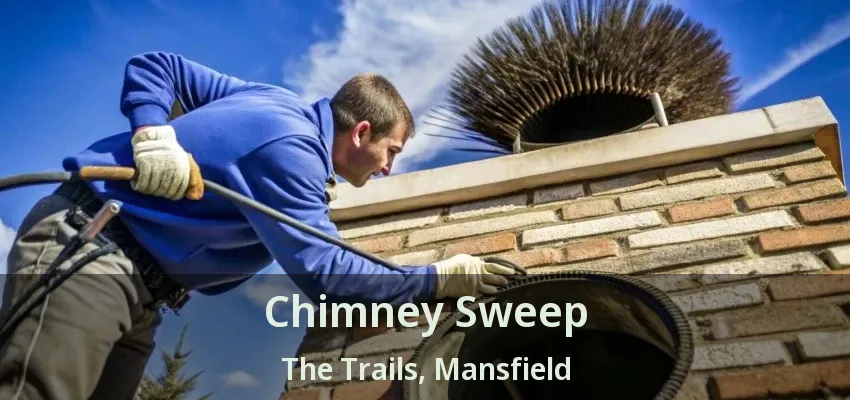 Chimney Sweep The Trails, Mansfield - TX