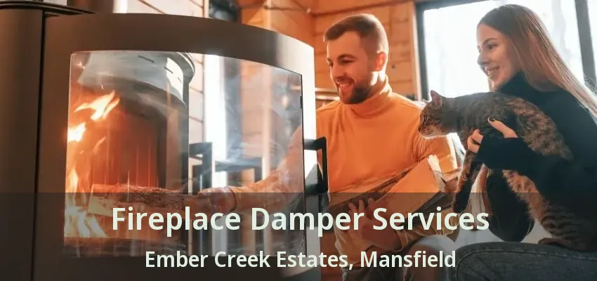 Fireplace Damper Services Ember Creek Estates, Mansfield - TX