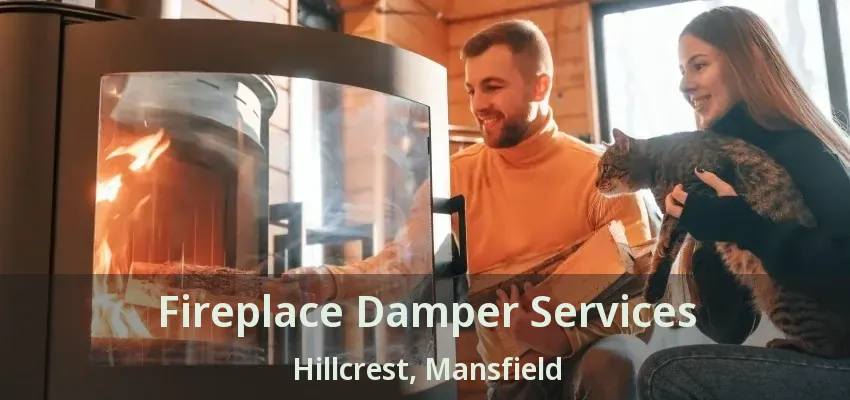 Fireplace Damper Services Hillcrest, Mansfield - TX