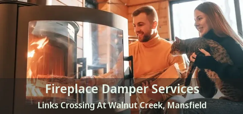 Fireplace Damper Services Links Crossing At Walnut Creek, Mansfield - TX