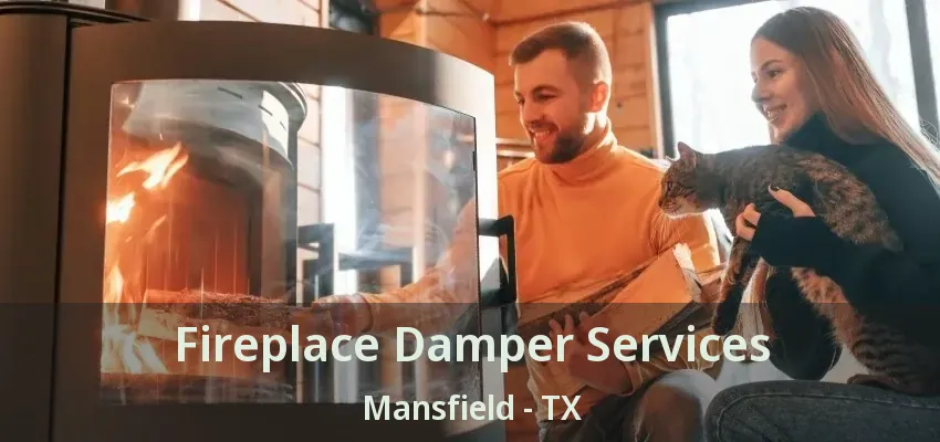 Fireplace Damper Services Mansfield - TX