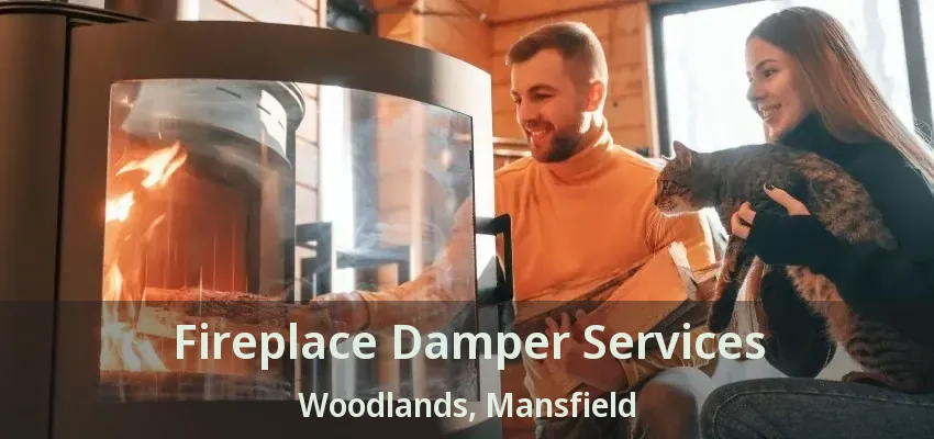 Fireplace Damper Services Woodlands, Mansfield - TX