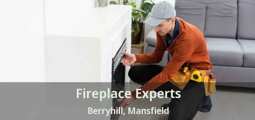 Fireplace Experts Berryhill, Mansfield - TX