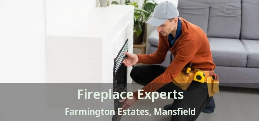 Fireplace Experts Farmington Estates, Mansfield - TX