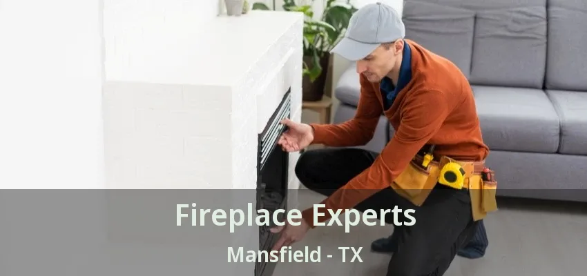 Fireplace Experts Mansfield - TX