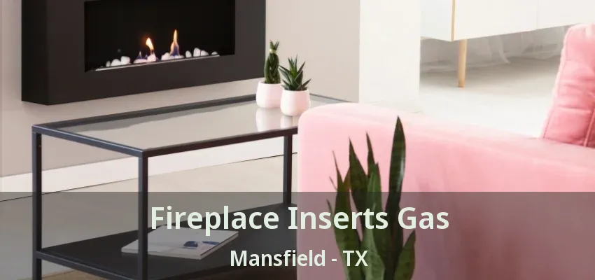 Fireplace Inserts Gas Mansfield - TX