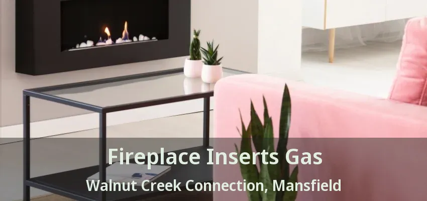 Fireplace Inserts Gas Walnut Creek Connection, Mansfield - TX