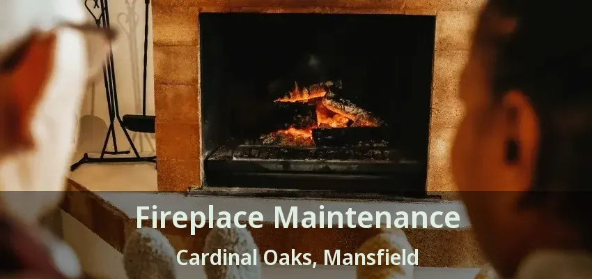 Fireplace Maintenance Cardinal Oaks, Mansfield - TX