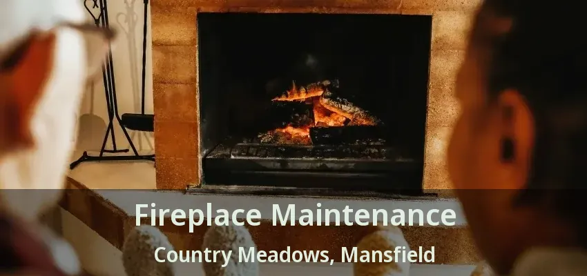 Fireplace Maintenance Country Meadows, Mansfield - TX