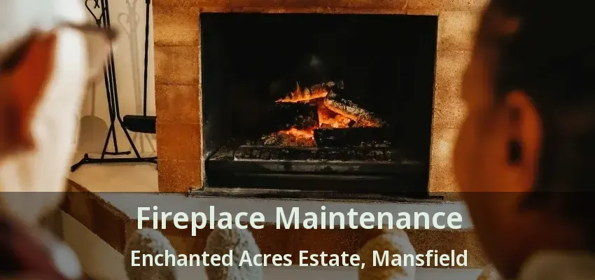 Fireplace Maintenance Enchanted Acres Estate, Mansfield - TX