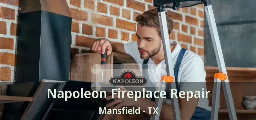 Napoleon Fireplace Repair Mansfield - TX