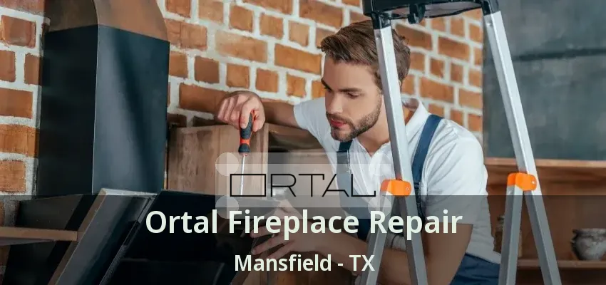 Ortal Fireplace Repair Mansfield - TX