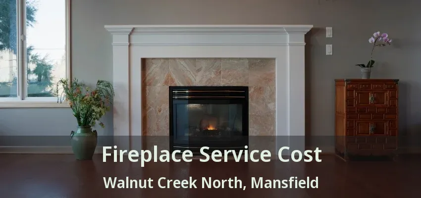 Fireplace Service Cost Walnut Creek North, Mansfield - TX