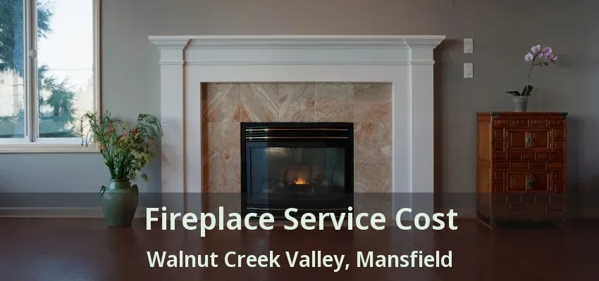Fireplace Service Cost Walnut Creek Valley, Mansfield - TX
