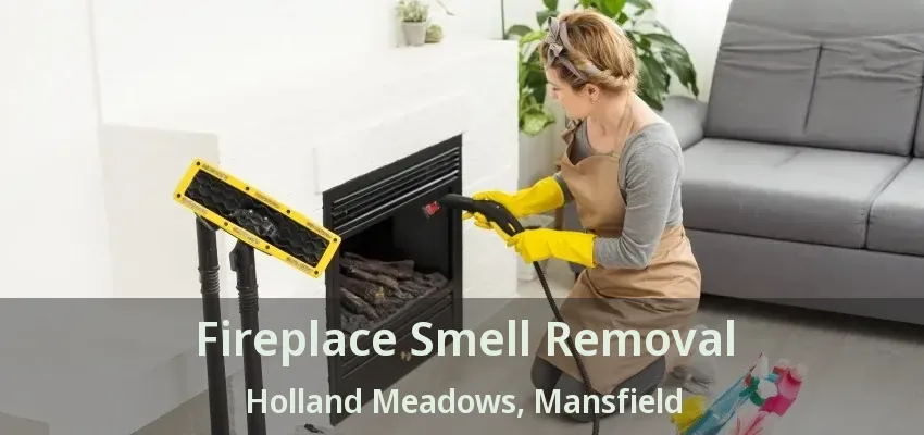 Fireplace Smell Removal Holland Meadows, Mansfield - TX