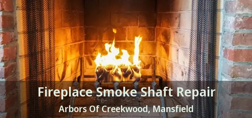 Fireplace Smoke Shaft Repair Arbors Of Creekwood, Mansfield - TX