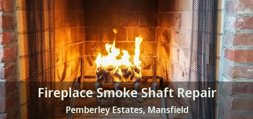 Fireplace Smoke Shaft Repair Pemberley Estates, Mansfield - TX