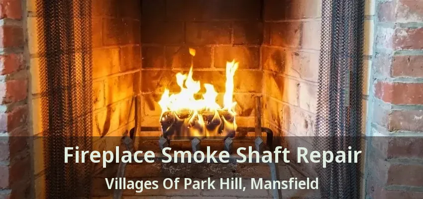 Fireplace Smoke Shaft Repair Villages Of Park Hill, Mansfield - TX