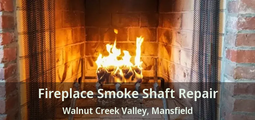 Fireplace Smoke Shaft Repair Walnut Creek Valley, Mansfield - TX