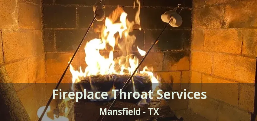 Fireplace Throat Services Mansfield - TX