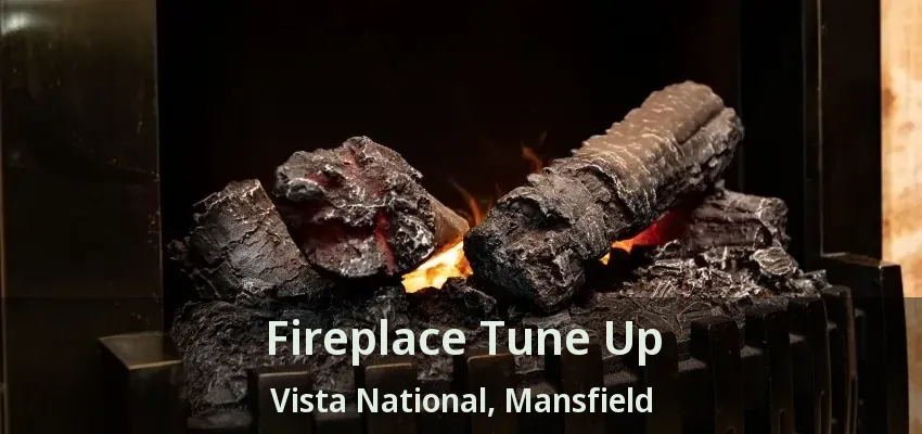 Fireplace Tune Up Vista National, Mansfield - TX