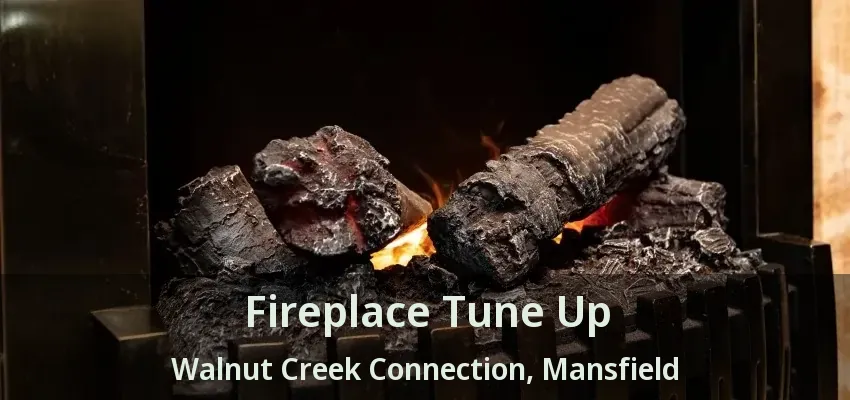 Fireplace Tune Up Walnut Creek Connection, Mansfield - TX