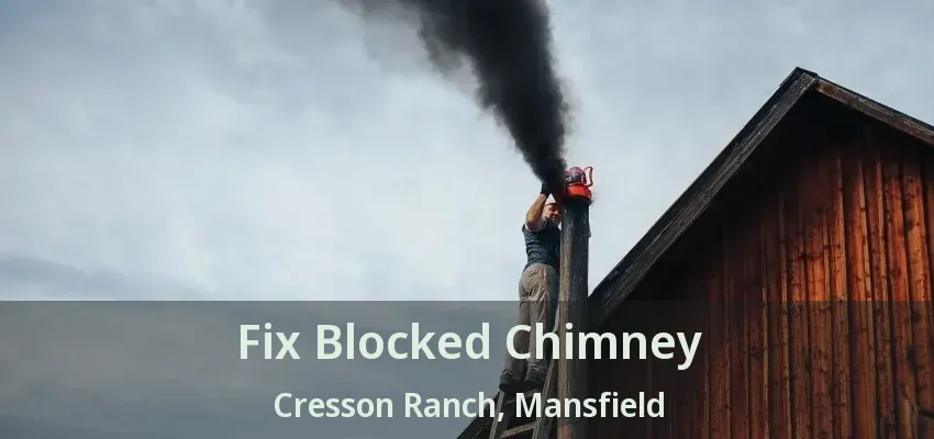 Fix Blocked Chimney Cresson Ranch, Mansfield - TX