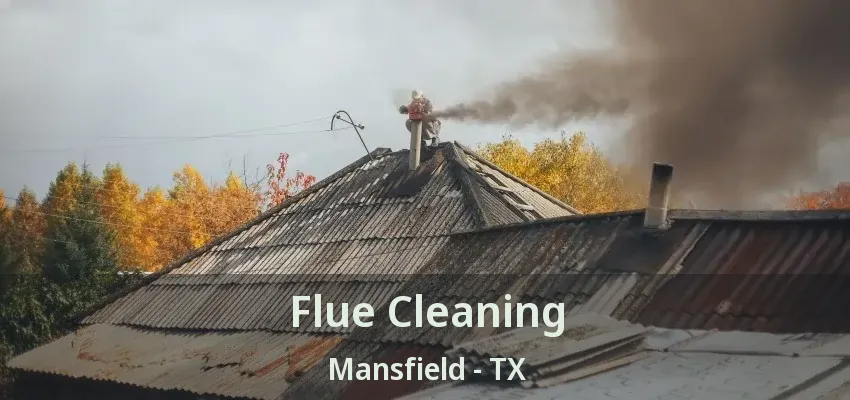 Flue Cleaning Mansfield - TX