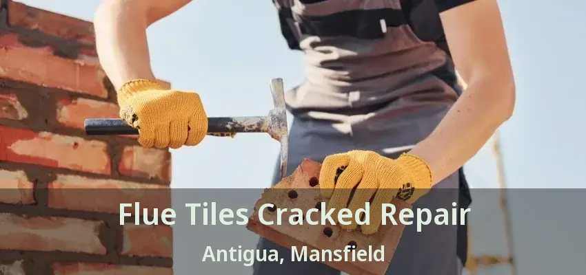 Flue Tiles Cracked Repair Antigua, Mansfield - TX