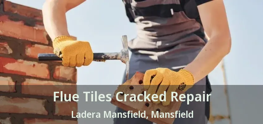 Flue Tiles Cracked Repair Ladera Mansfield, Mansfield - TX