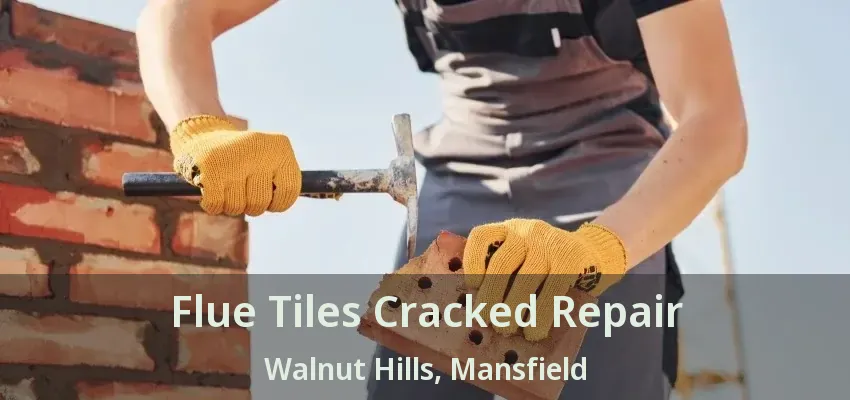 Flue Tiles Cracked Repair Walnut Hills, Mansfield - TX