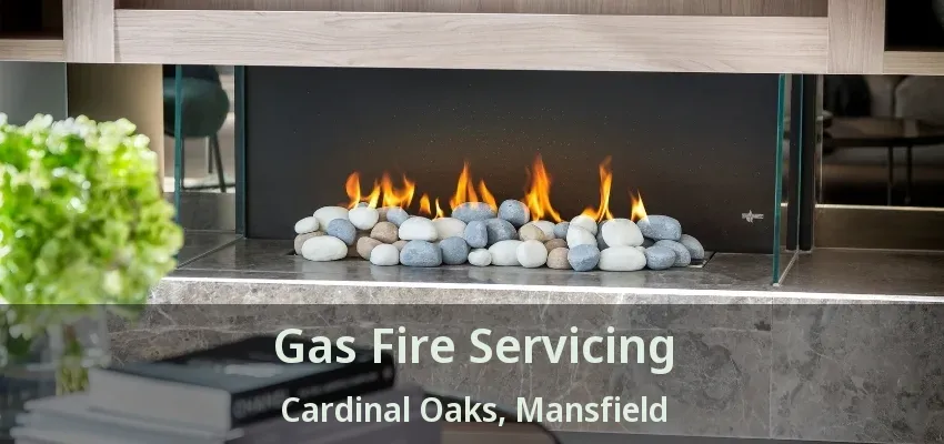 Gas Fire Servicing Cardinal Oaks, Mansfield - TX