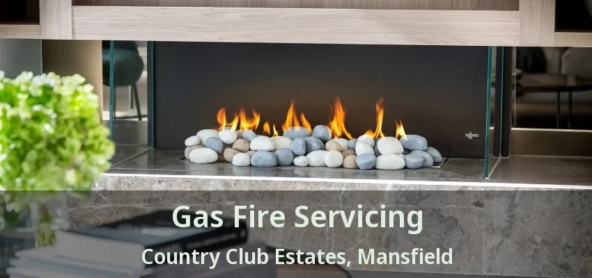 Gas Fire Servicing Country Club Estates, Mansfield - TX