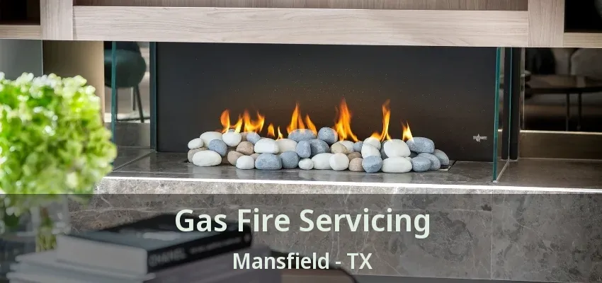 Gas Fire Servicing Mansfield - TX