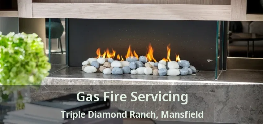 Gas Fire Servicing Triple Diamond Ranch, Mansfield - TX