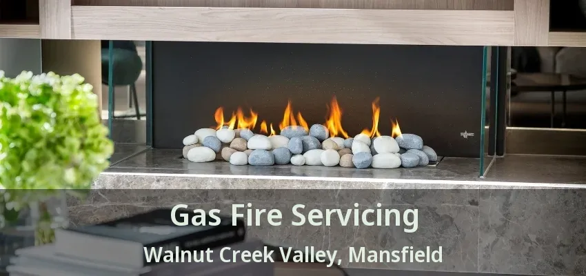 Gas Fire Servicing Walnut Creek Valley, Mansfield - TX