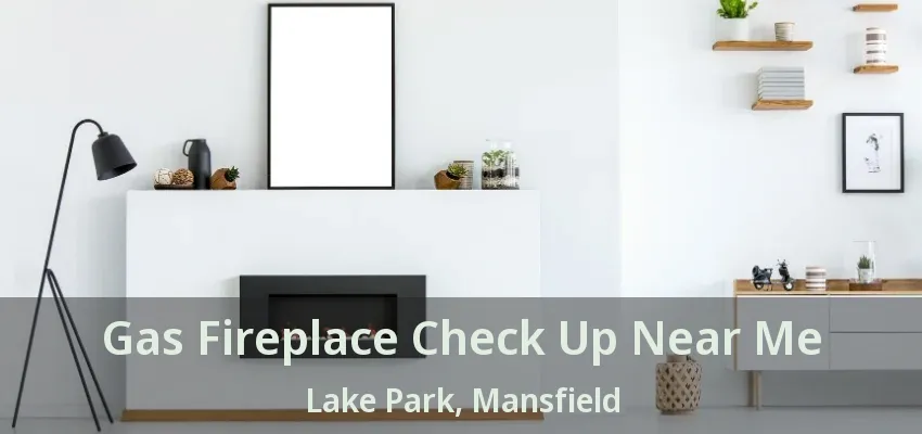 Gas Fireplace Check Up Near Me Lake Park, Mansfield - TX