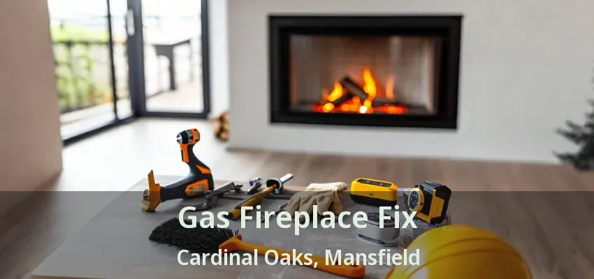 Gas Fireplace Fix Cardinal Oaks, Mansfield - TX