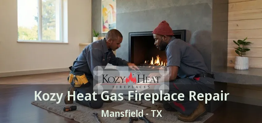 Kozy Heat Gas Fireplace Repair Mansfield - TX
