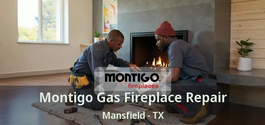 Montigo Gas Fireplace Repair Mansfield - TX