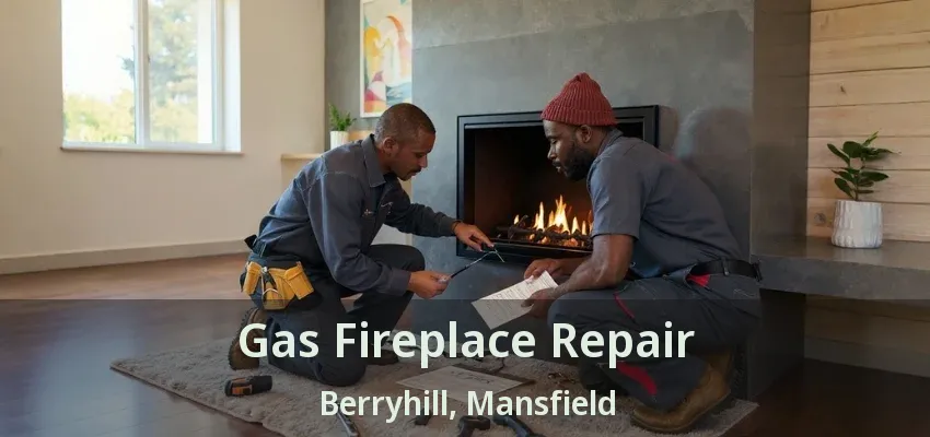 Gas Fireplace Repair Berryhill, Mansfield - TX