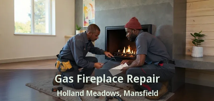 Gas Fireplace Repair Holland Meadows, Mansfield - TX