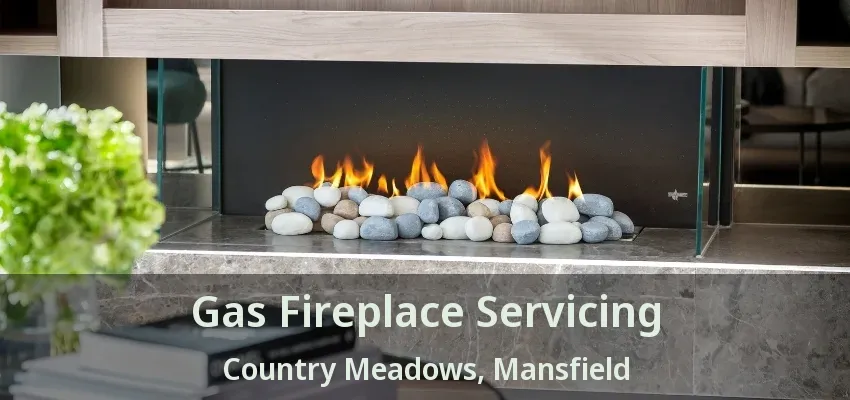 Gas Fireplace Servicing Country Meadows, Mansfield - TX