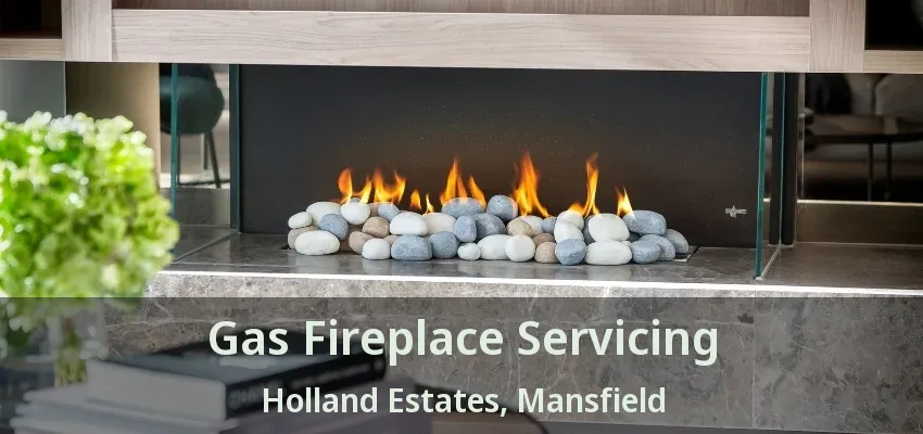 Gas Fireplace Servicing Holland Estates, Mansfield - TX
