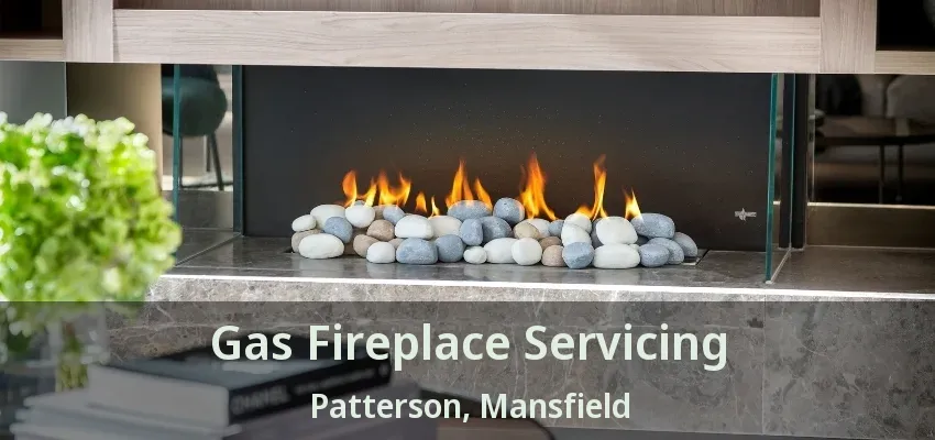 Gas Fireplace Servicing Patterson, Mansfield - TX