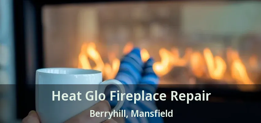 Heat Glo Fireplace Repair Berryhill, Mansfield - TX