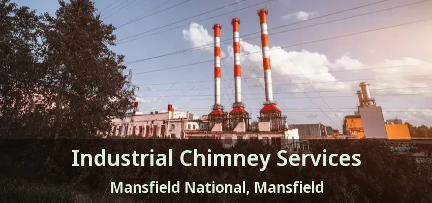Industrial Chimney Services Mansfield National, Mansfield - TX